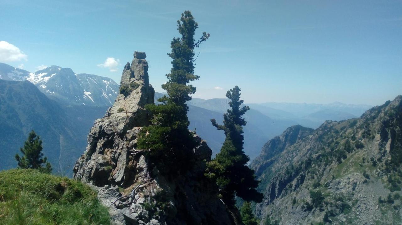 Gite Au Printemps Japonais, Petit Train De La Mure, Parc Des Ecrins Pierre-Chatel Eksteriør bilde