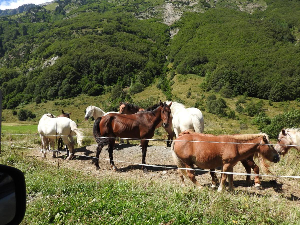 Gite Au Printemps Japonais, Petit Train De La Mure, Parc Des Ecrins Pierre-Chatel Eksteriør bilde